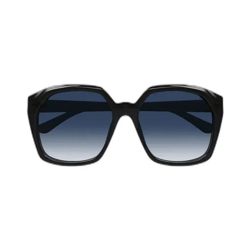 Salome Oversized Frame Sunglasses