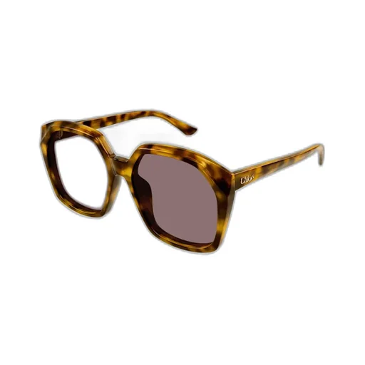 Salome Oversized Frame Sunglasses