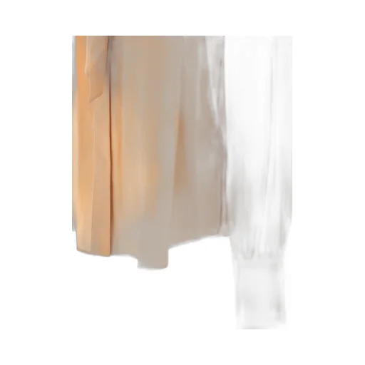 Long-Sleeve Georgette Shirt