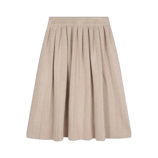 Pleated Skirt
