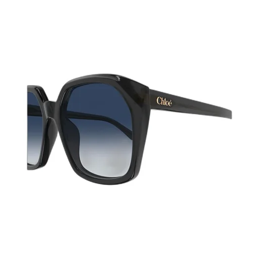 Salome Oversized Frame Sunglasses