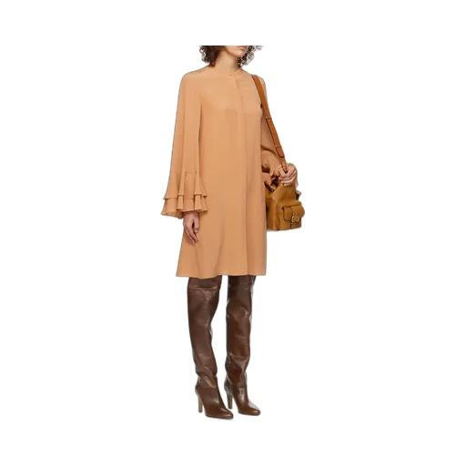 Ruffle Sleeved Dress