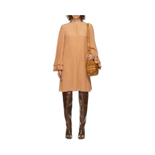 Ruffle Sleeved Dress