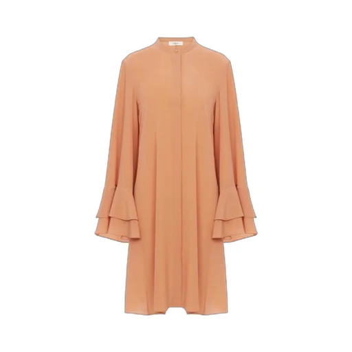 Ruffle Sleeved Dress