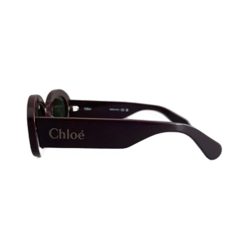 Oval Frame Sunglasses