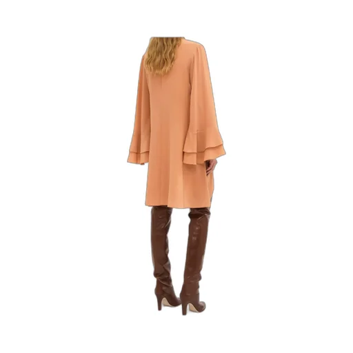 Ruffle Sleeved Dress
