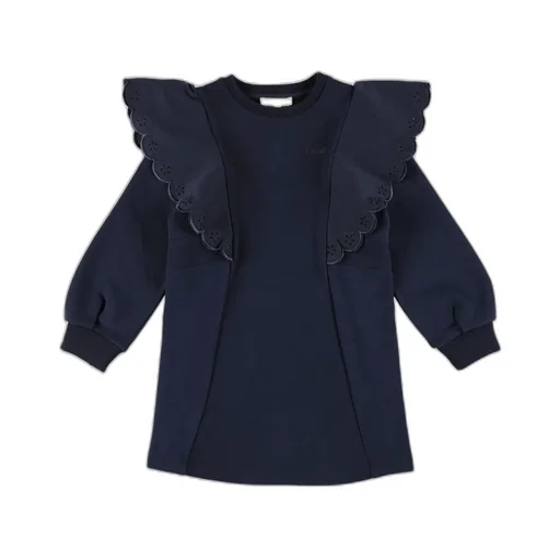 Ruffled Detail Crewneck Sweatshirt Dress
