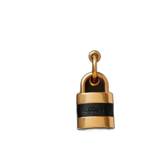 The 99 Lock Detailed Shoulder Bag