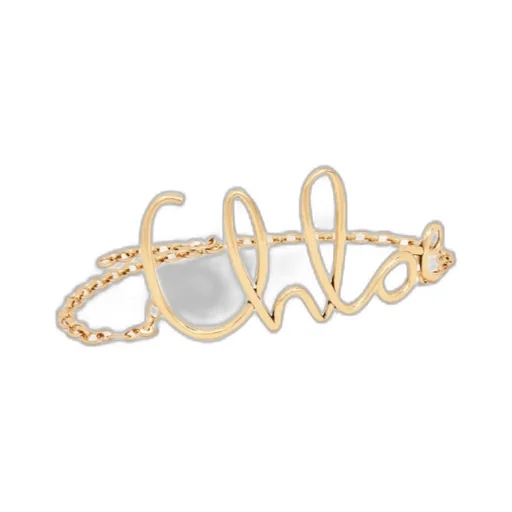 The Chloé Iconic Large Belt