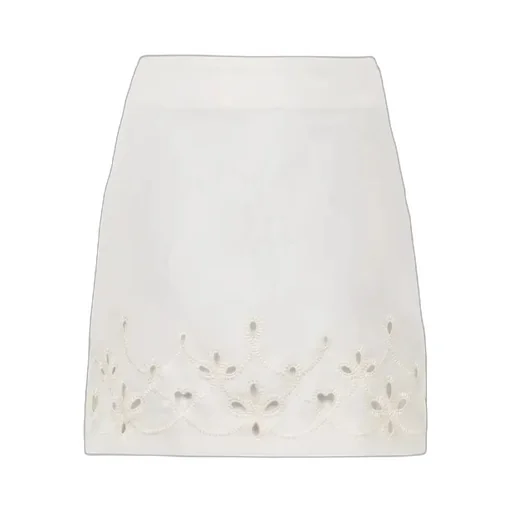 Embroidered A-Line Mini Skirt