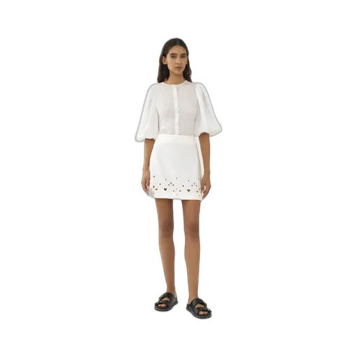 Embroidered A-Line Mini Skirt