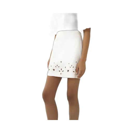 Embroidered A-Line Mini Skirt