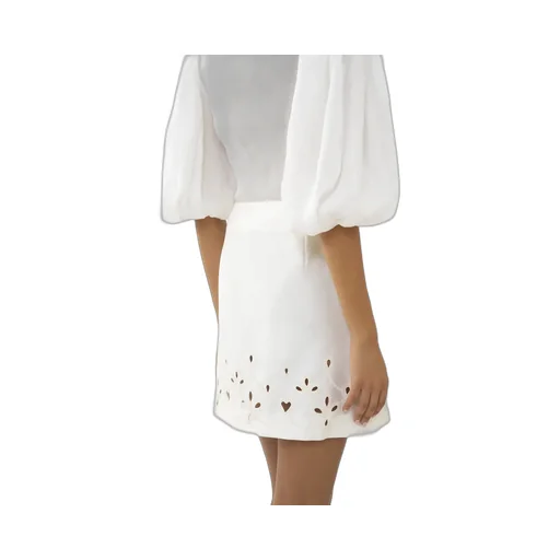 Embroidered A-Line Mini Skirt