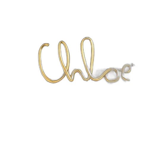 The Chloé Iconic Large Belt