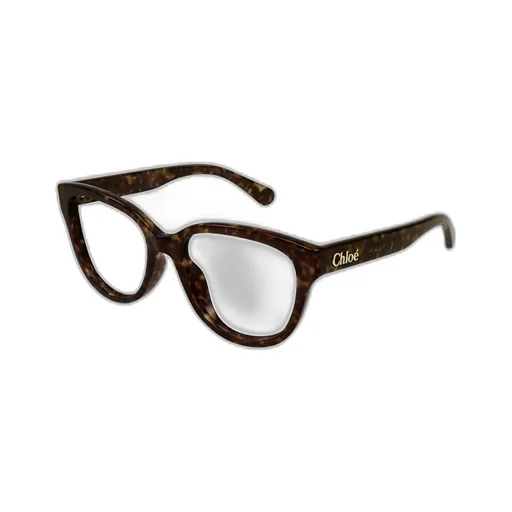 Eyewear Cat-Eye Glasses
