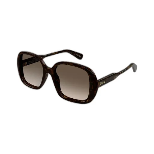 Square-Frame Sunglasses