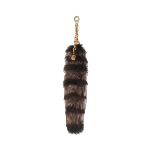 The Treasure Tails Charm