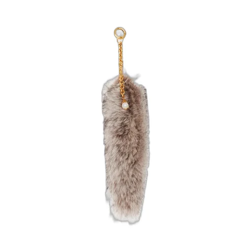 The Treasure Tails Charm