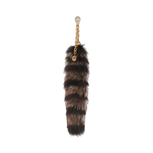 The Treasure Tails Charm