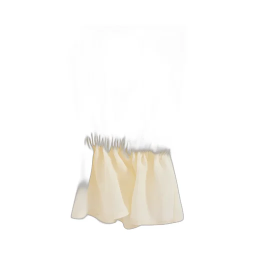 Ruffled Blouse