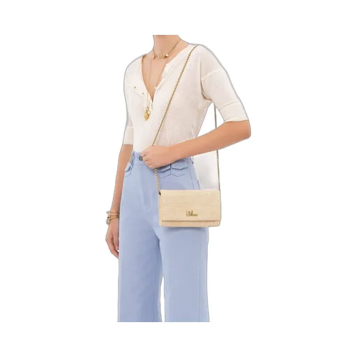 Iconic Clutch