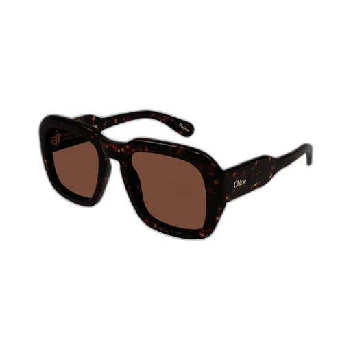 Square Frame Sunglasses