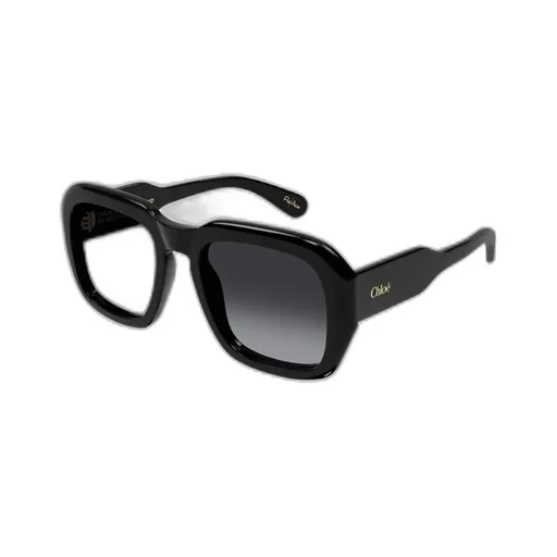 Square Frame Sunglasses