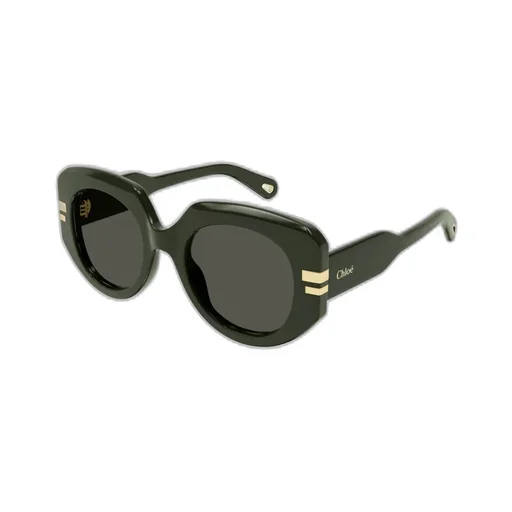 Oversized Frame Sunglasses