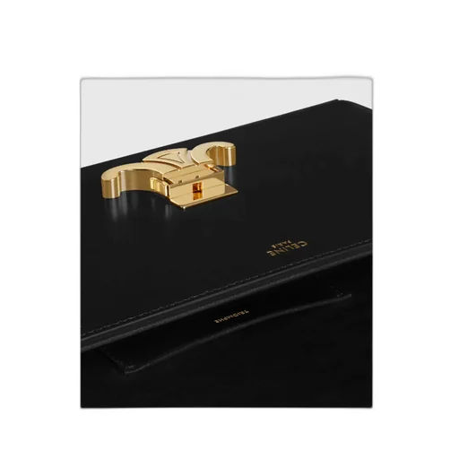 Chain Box Triomphe Bag In Shiny Calfskin