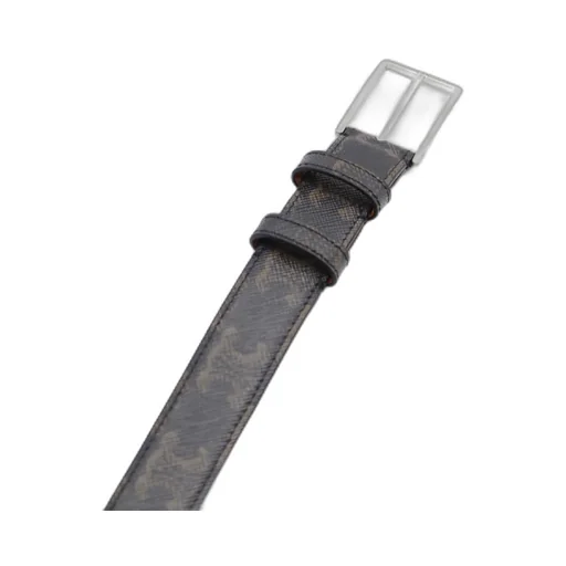 Medium Belt In Triomphe Canvas
