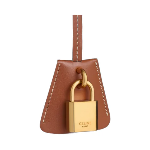 Vanity In Triomphe Canvas And Calfskin