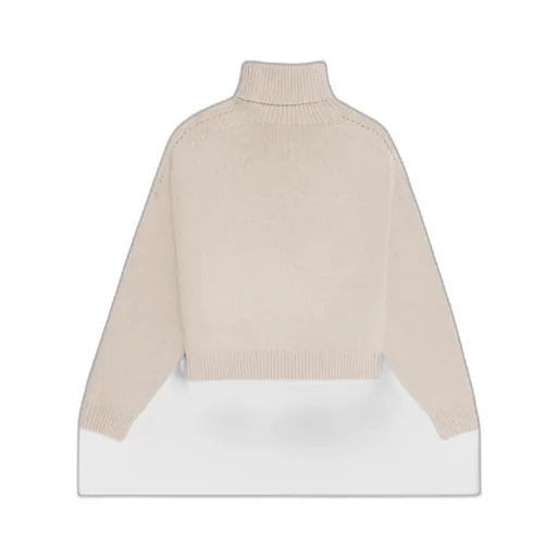 Turtleneck Sweater In Seamless Cashmere