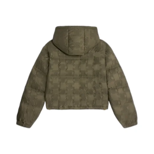 Cropped Triomphe Down Jacket