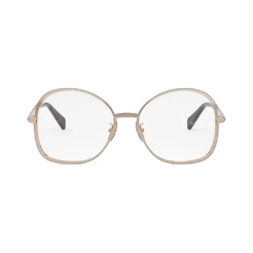 Butterfly Frame Glasses