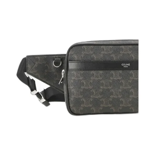 Belt Bag In Triomphe Canvas And Calfskin