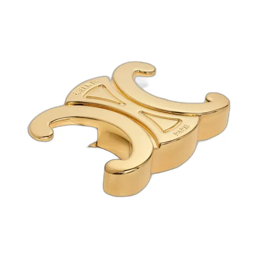 Card Holder With Flap Triomphe In Lizard