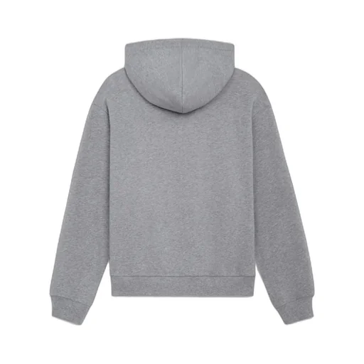 Loose Blason Hoodie In Cotton Fleece
