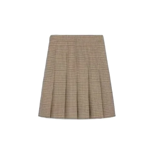 Pleated Skirt