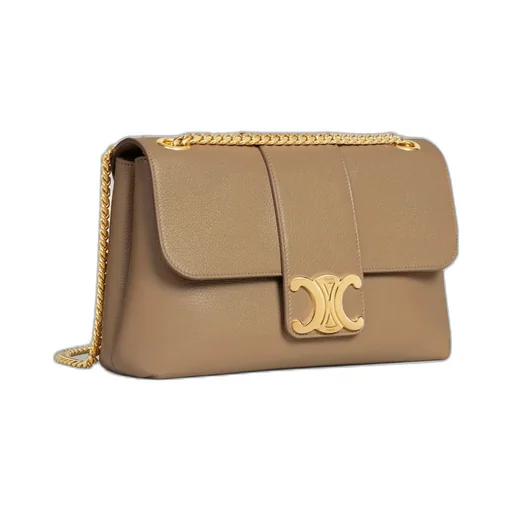 Medium Celine Victoire Bag