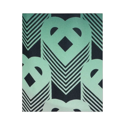 Gradient Printed Shorts