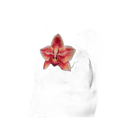 Printed Short-Sleeved Shirt