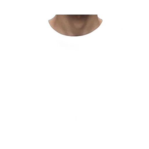Emersen Regular Fit T-Shirt