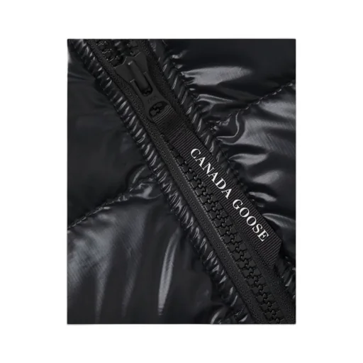 Hooded Padded Jacket