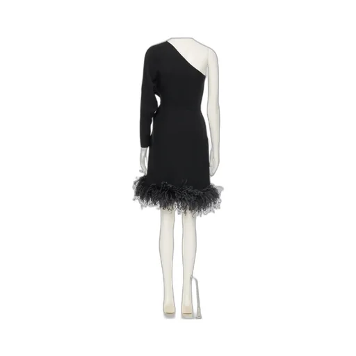 One-Shoulder Dress With Feather Trim