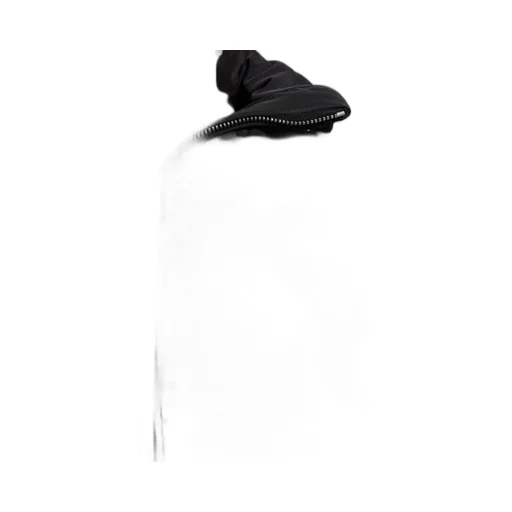 Hooded Down Jacket