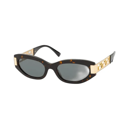Full Frame Sunglasses