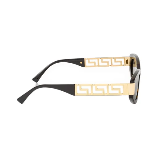 Full Frame Sunglasses