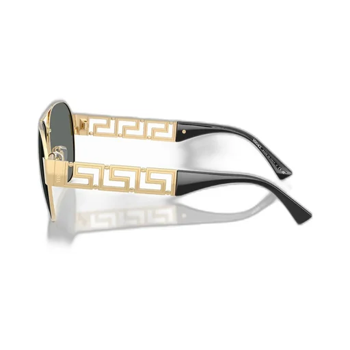 Full-Rim Sunglasses