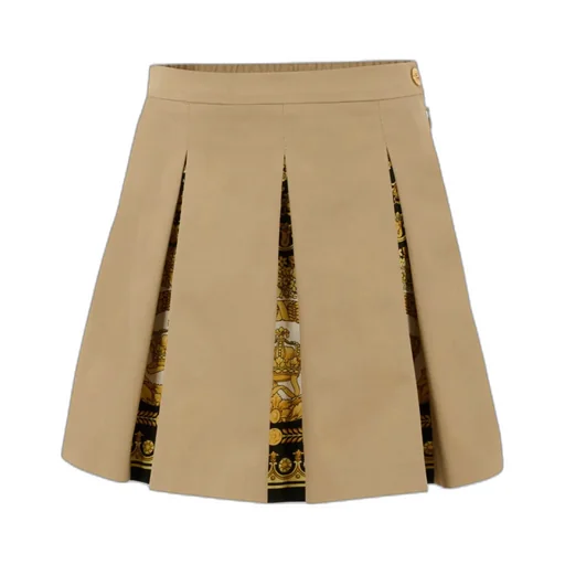 Pleated Panelled Skirt