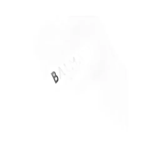Logo Printed Crewneck Sweatshirt